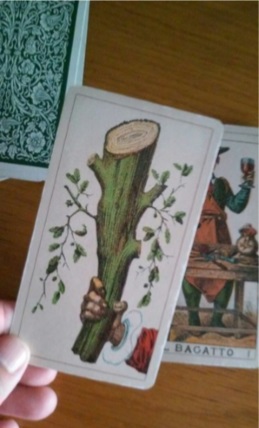 tarot muy barato